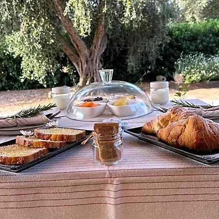 Podere 406 فندق مبيت وإفطار بيشا رومانا
